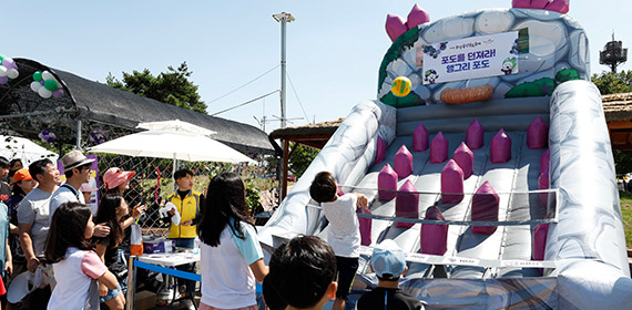 송산포도축제에 포도먹기대회를 참여한 시민들