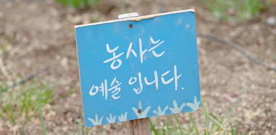 행복텃밭