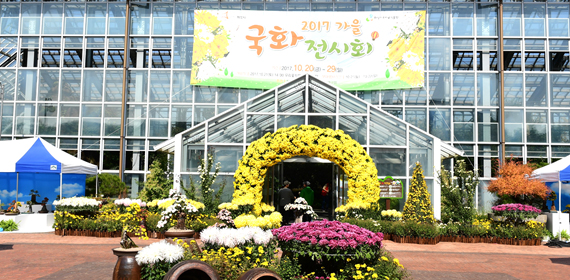 식물원 국화전시회