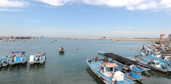 궁평항에 정박된 고기잡이배의 모습