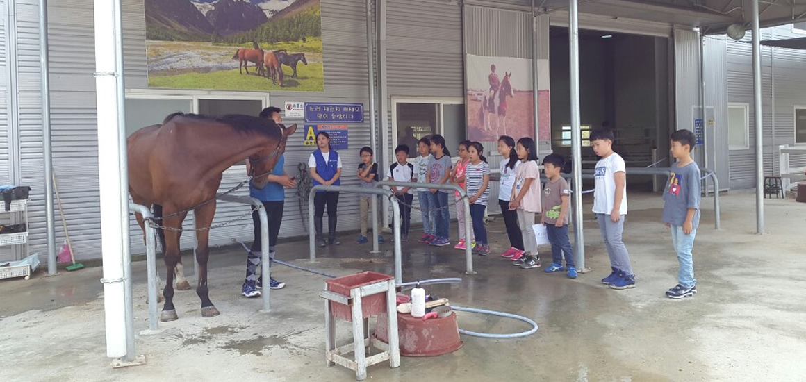 에이원승마클럽 경기도학생승마체험하는 아이들사진1