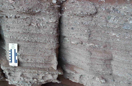 Sedimentary Bedding Structures