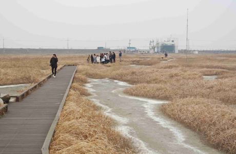 Reclaimed Land Eco Trail