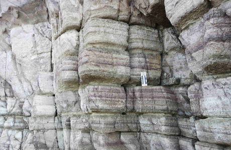 Pyroclastic rocks(Lapillistone)