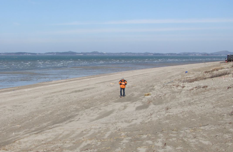 Coastal Sand Dune