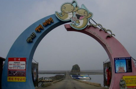 Baekmi-ri Tidal Flat Experience Center