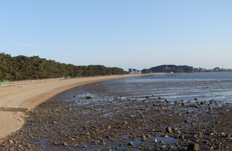 Tidal Flat and View of the West Sea(Yellow Sea)